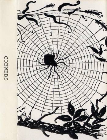 Cobwebs