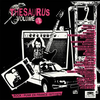 Punk en France 1977 / 1979