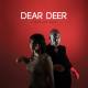 deardeer_collect_01.jpg