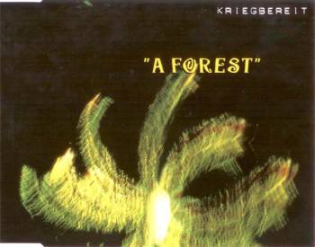 A forest